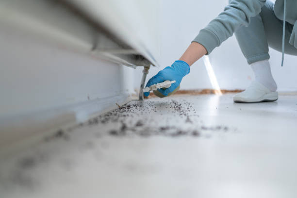 Best Residential Pest Control  in Harlan, IN