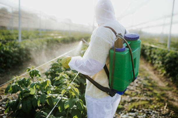 Best Cockroach Control Services  in Harlan, IN